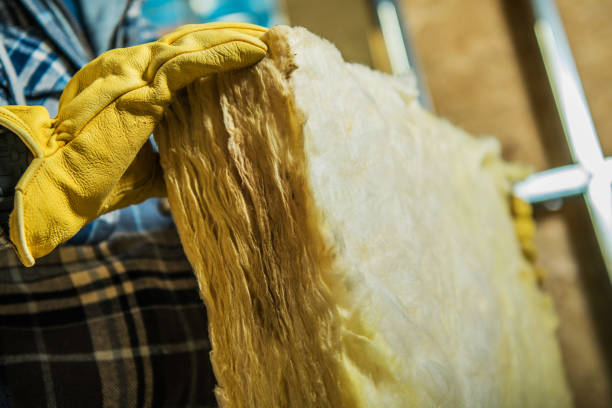 Best Cellulose Insulation in Plano, TX